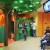 Levittown Pediatric Dentist